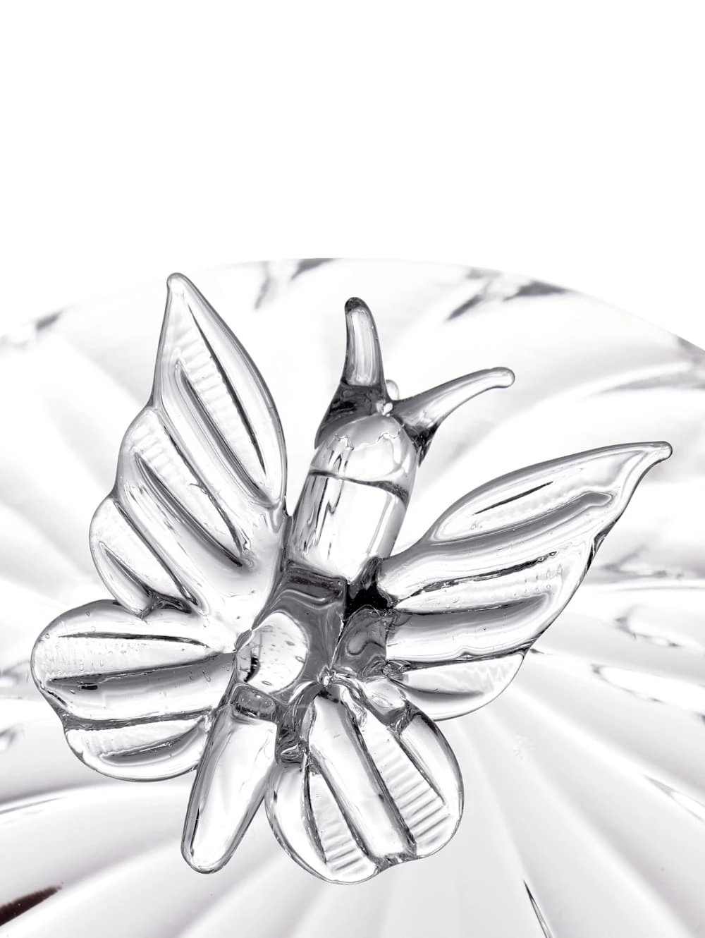 Glas-Dose, Kürbis 2 Glas-Dose, Kürbis – Bild 2